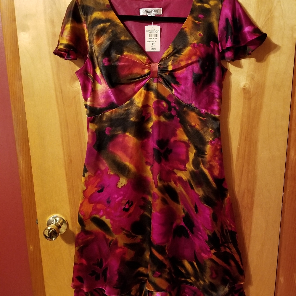 Women's Silk Dress